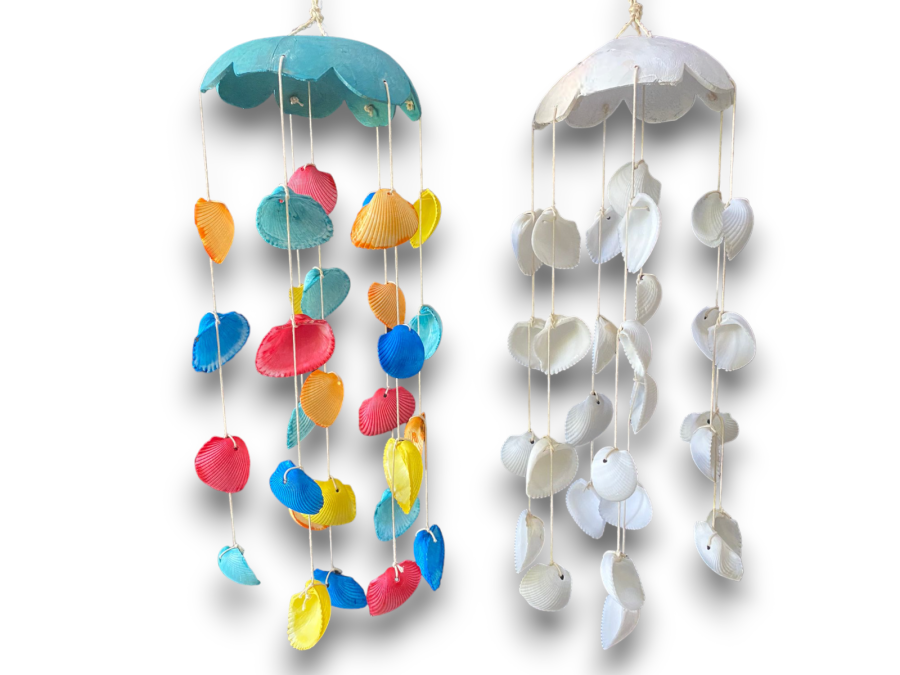 MOVIL COCO+COLOR SHELL 2 colors pack 2