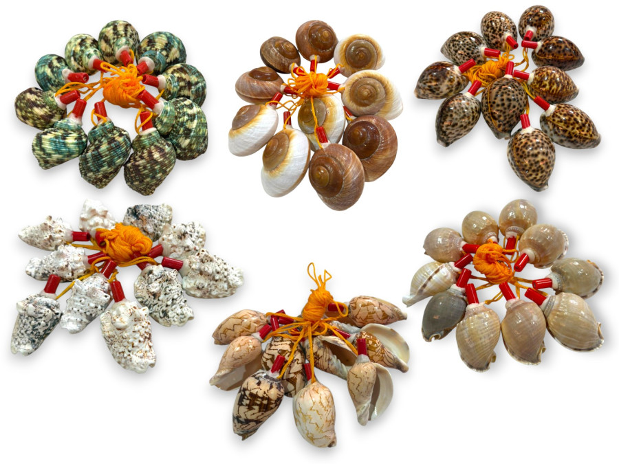 SILBATO CONCHA 09x06cm 5 MODELOS Pack 10