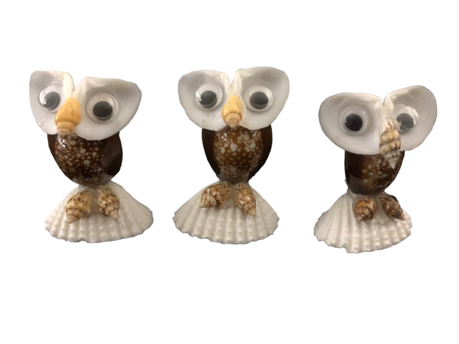 IMAN BUHO CAPUT (bolsa 25 unid)