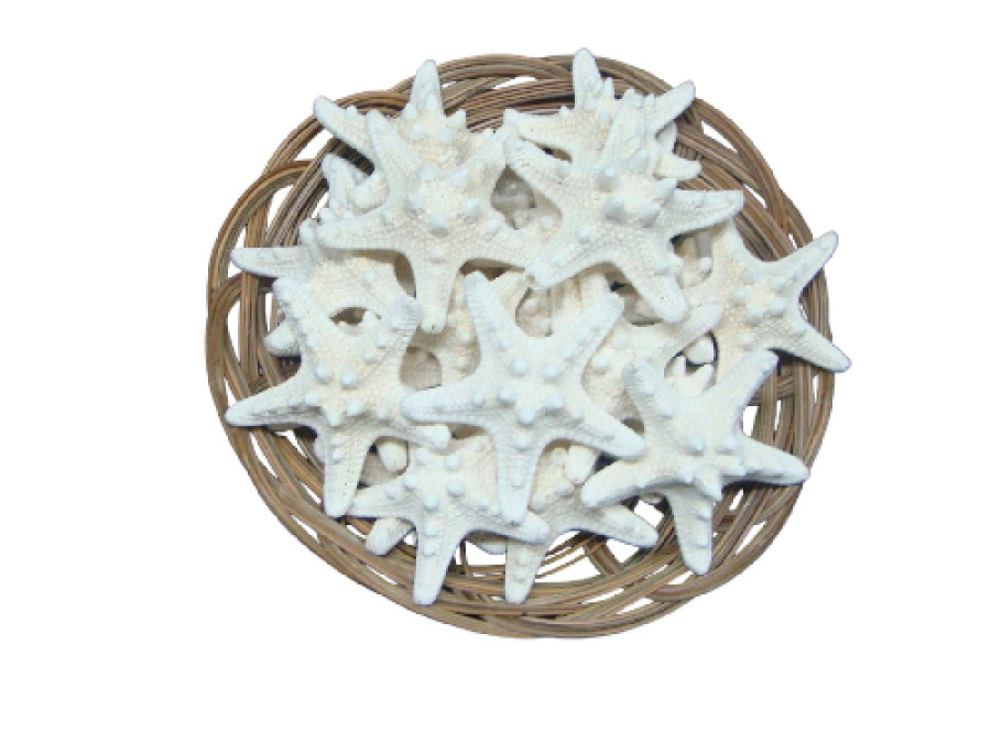 BOLSA FILIPINA BLANCA (bolsa 25 und)