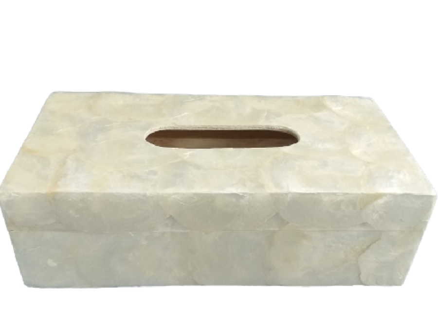 CAJA CAPIZ PAÑUELOS NATUR 25x13x08cm