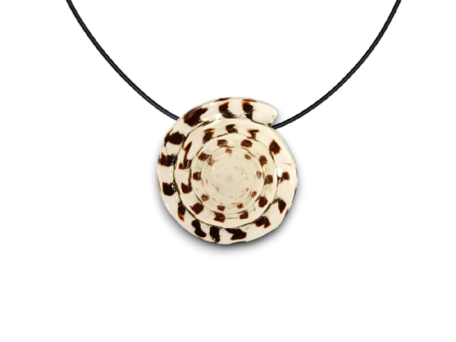 COLGTE.LITERATUS 45mm