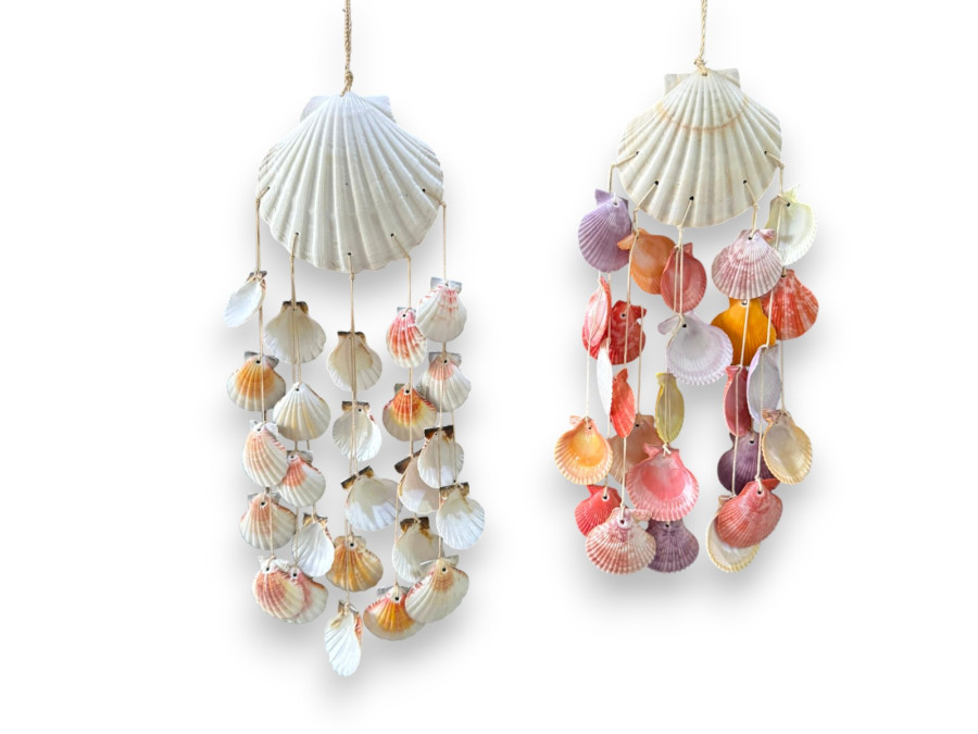 MOVIL SCALLOP BLANCO pack 6