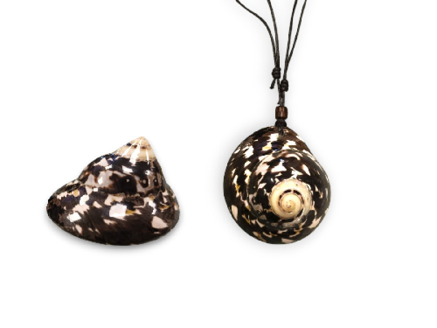 COLGTE.LIVONA PICA 45mm