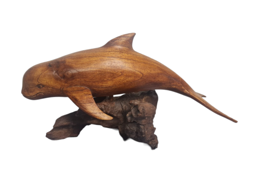 BELUGA JEMPINIS BASE 30cm