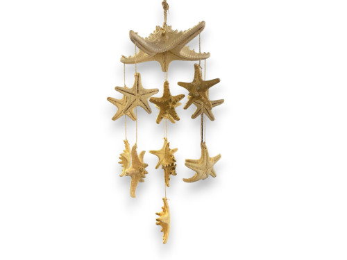 MOVIL 13 E.FILIPINA NATUR