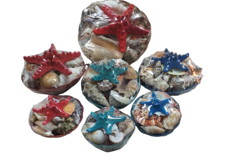 PANERA CONCHA E. FILIPINA