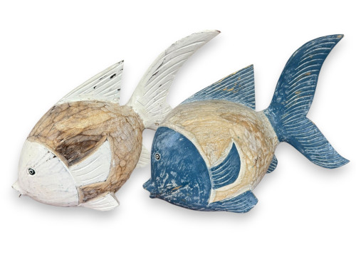 PEZ COLA BICOLOR 50x45cm