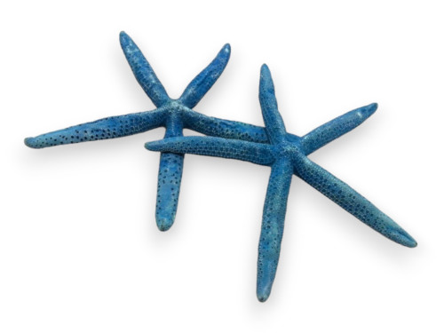 ESTRELLA DEDOS AZUL 25cm