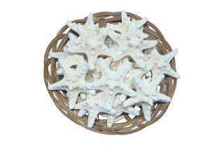 BOLSA FILIPINA BLANCA (bolsa 25 und)