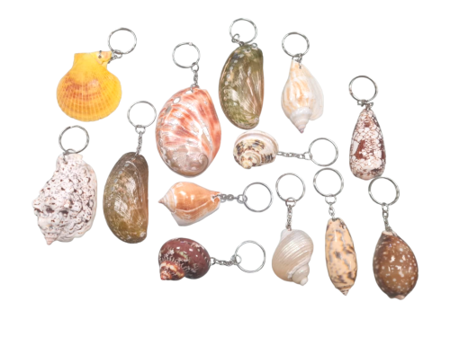 LLAVERO CONCHA XL pack 24