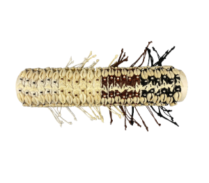 P.MA-2353 MONETAS 2 SHARK 4 colores tubo 24 unid.