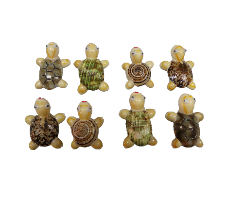 IMAN TORTUGA CONCHA 4 mod. pack 12