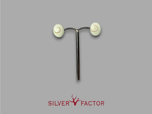 PTES.AG.SHIVA OVAL SIMPLE 10x12